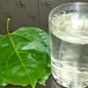 Passion-Fruit-Leaves-Benefits