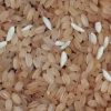 Ration-Shop-Fortified-Rice